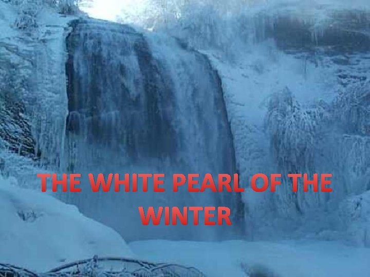 THE WHITE PEARL OF THE WINTER 