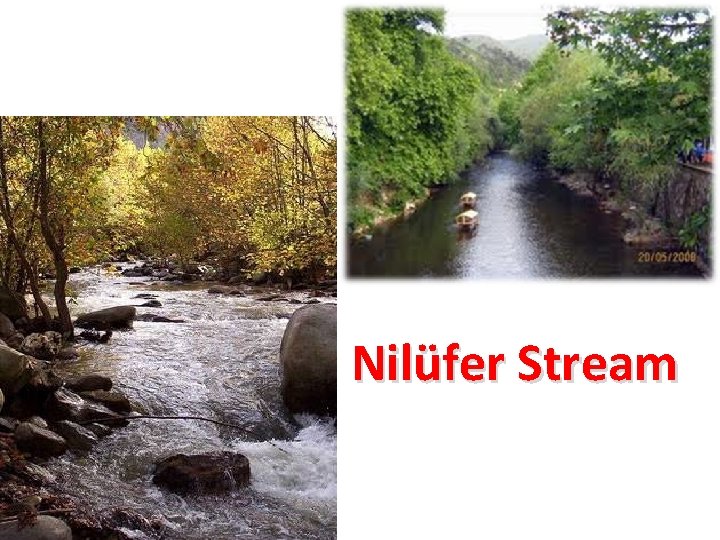 Nilüfer Stream 