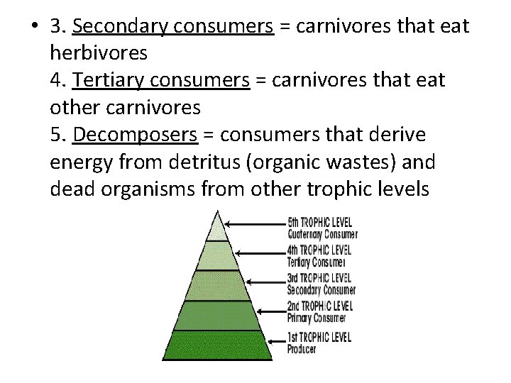  • 3. Secondary consumers = carnivores that eat herbivores 4. Tertiary consumers =