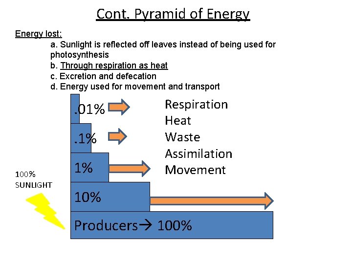 Cont. Pyramid of Energy lost: a. Sunlight is reflected off leaves instead of being