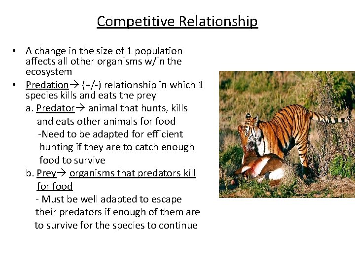 Competitive Relationship • A change in the size of 1 population affects all other