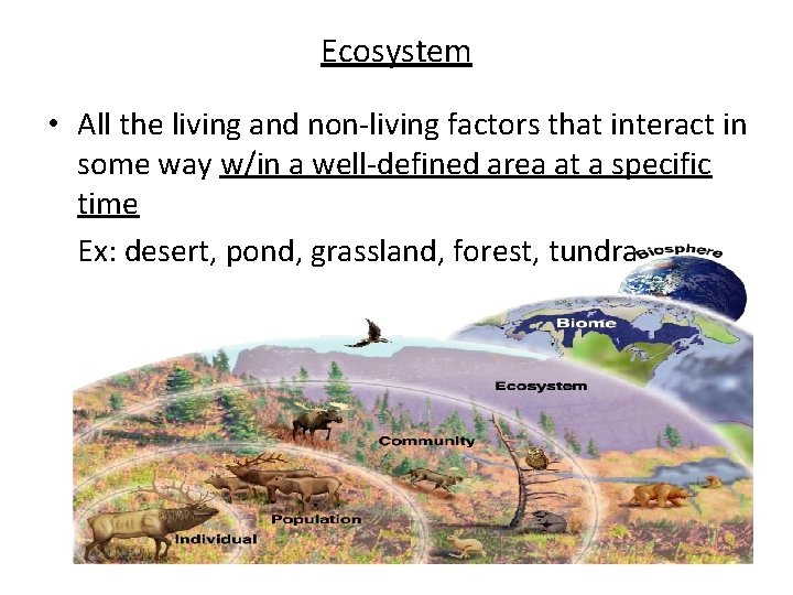 Ecosystem • All the living and non-living factors that interact in some way w/in