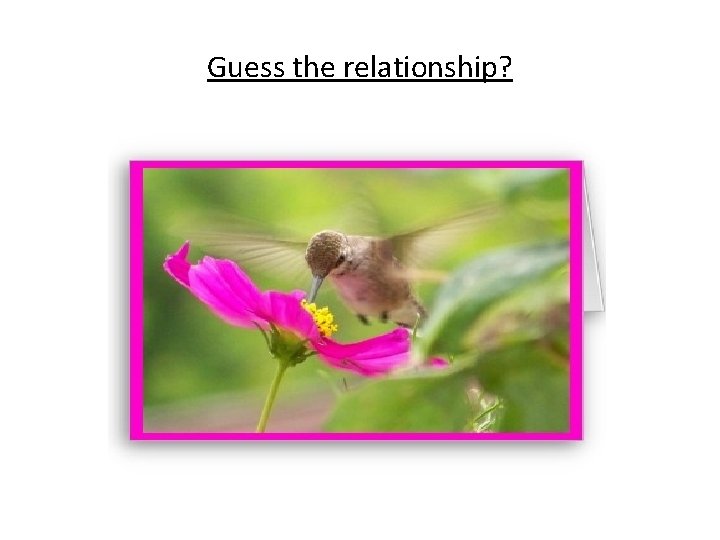 Guess the relationship? 