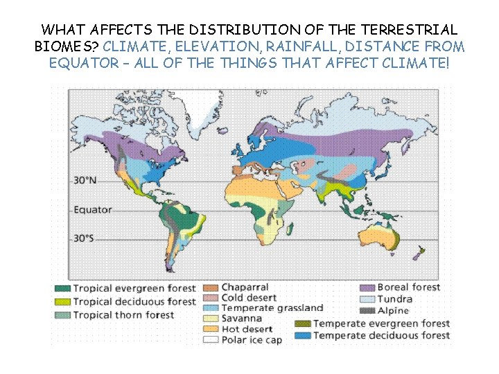 WHAT AFFECTS THE DISTRIBUTION OF THE TERRESTRIAL BIOMES? CLIMATE, ELEVATION, RAINFALL, DISTANCE FROM EQUATOR