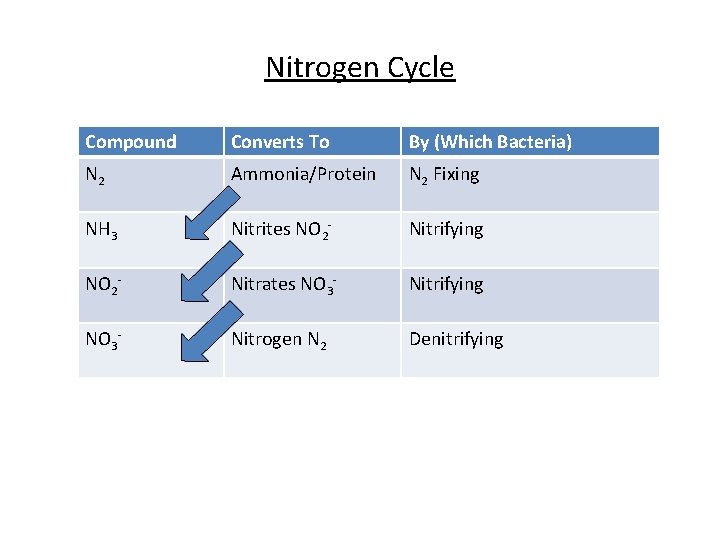 Nitrogen Cycle Compound Converts To By (Which Bacteria) N 2 Ammonia/Protein N 2 Fixing