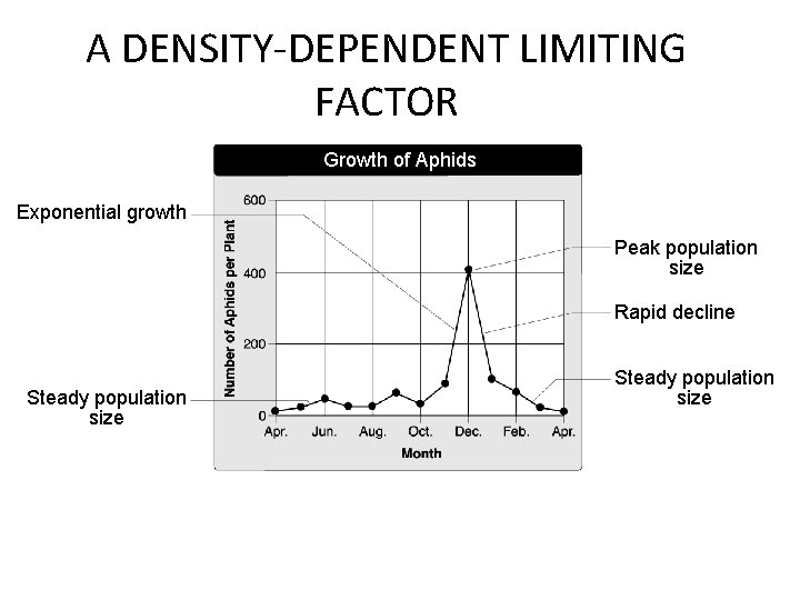 A DENSITY-DEPENDENT LIMITING FACTOR A Density-Dependent Limiting Factor Section 5 -2 Growth of Aphids