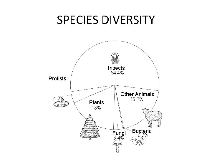 Species Diversity Section 6 -3 SPECIES DIVERSITY Insects 54. 4% Protists 4. 2% Other