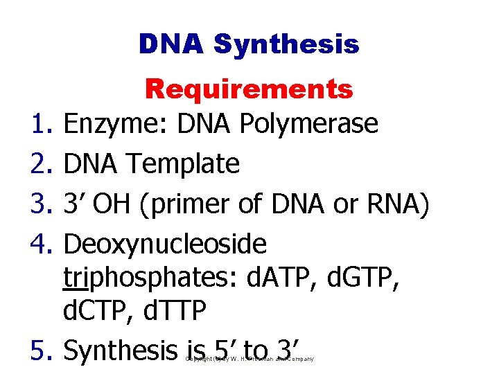 DNA Synthesis 1. 2. 3. 4. 5. Requirements Enzyme: DNA Polymerase DNA Template 3’