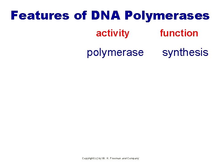 Features of DNA Polymerases activity polymerase Copyright (c) by W. H. Freeman and Company