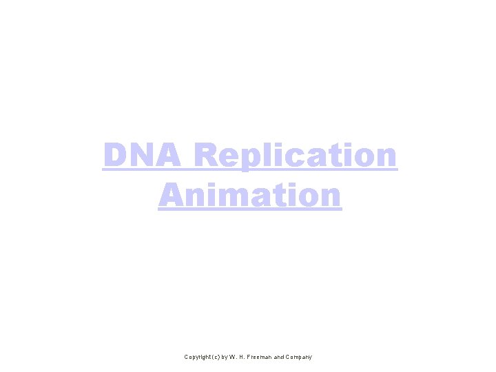 DNA Replication Animation Copyright (c) by W. H. Freeman and Company 