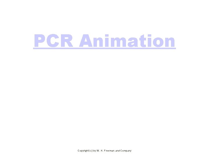 PCR Animation Copyright (c) by W. H. Freeman and Company 