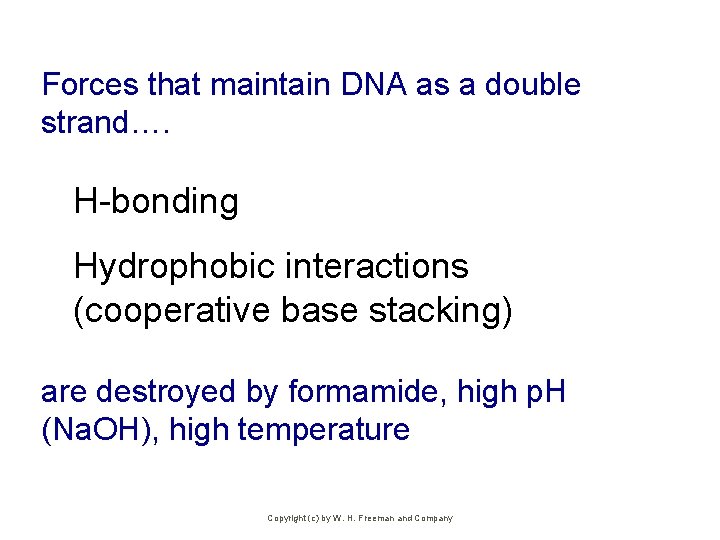 Forces that maintain DNA as a double strand…. H-bonding Hydrophobic interactions (cooperative base stacking)