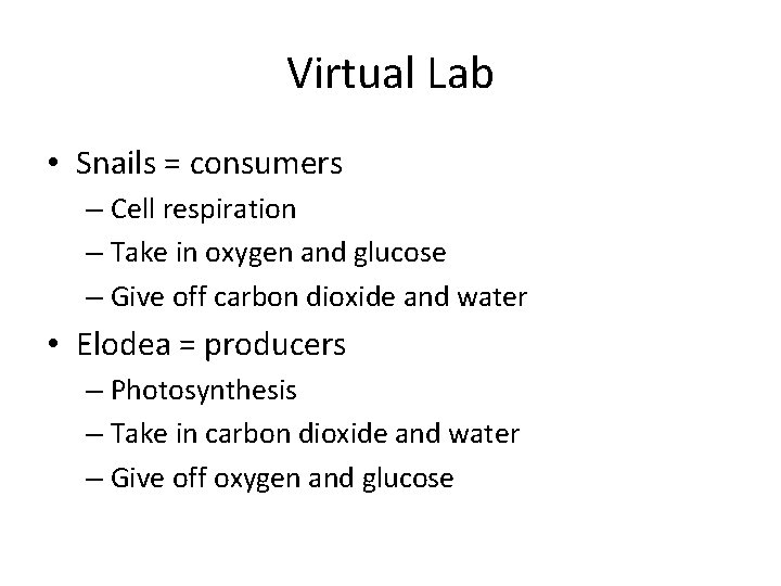 Virtual Lab • Snails = consumers – Cell respiration – Take in oxygen and