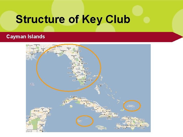Structure of Key Club Cayman Islands 
