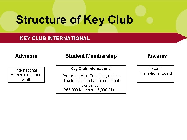 Structure of Key Club KEY CLUB INTERNATIONAL Advisors Student Membership International Administrator and Staff