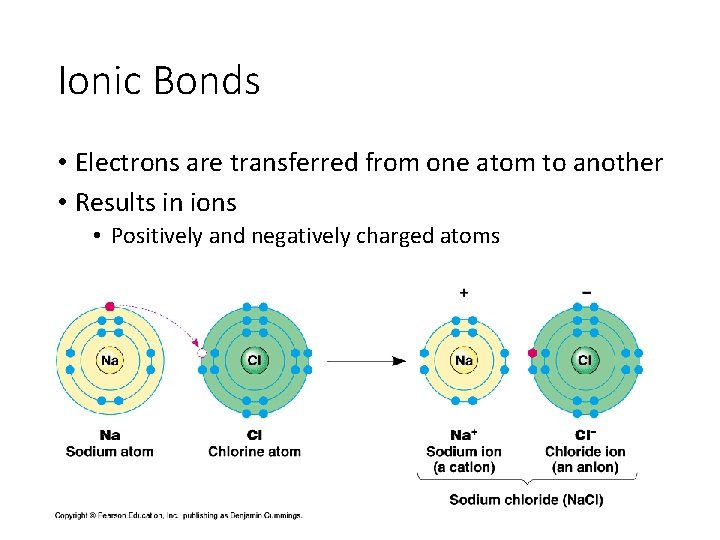 Ionic Bonds • Electrons are transferred from one atom to another • Results in