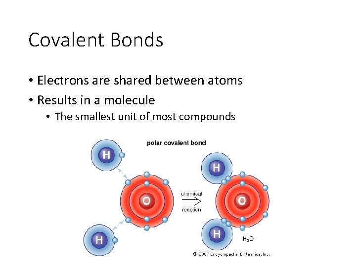 Covalent Bonds • Electrons are shared between atoms • Results in a molecule •