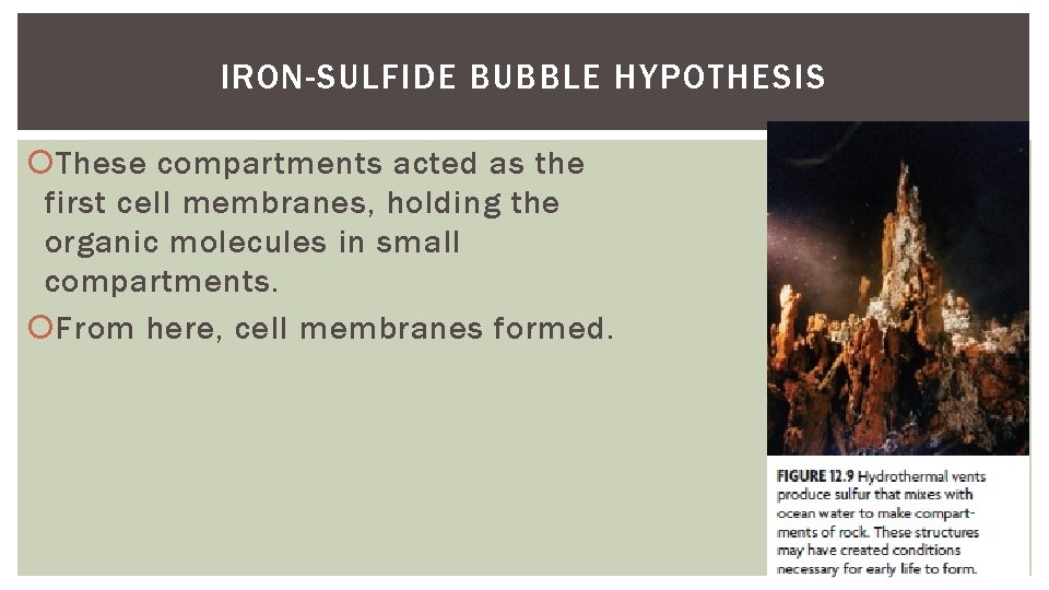 IRON-SULFIDE BUBBLE HYPOTHESIS These compartments acted as the first cell membranes, holding the organic