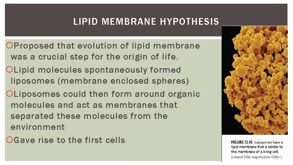 LIPID MEMBRANE HYPOTHESIS Proposed that evolution of lipid membrane was a crucial step for