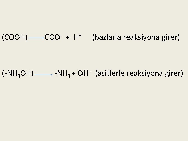 (COOH) (-NH 3 OH) COO- + H+ (bazlarla reaksiyona girer) -NH 3 + OH-