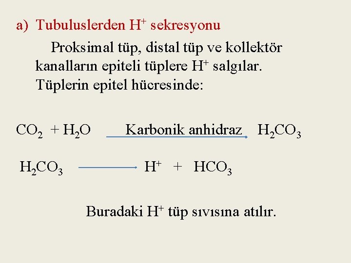 a) Tubuluslerden H+ sekresyonu Proksimal tüp, distal tüp ve kollektör kanalların epiteli tüplere H+