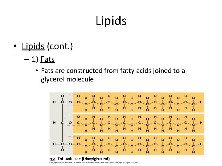 Lipids • Lipids (cont. ) – 1) Fats • Fats are constructed from fatty