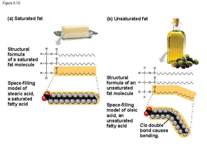 Figure 5. 10 (a) Saturated fat (b) Unsaturated fat Structural formula of a saturated