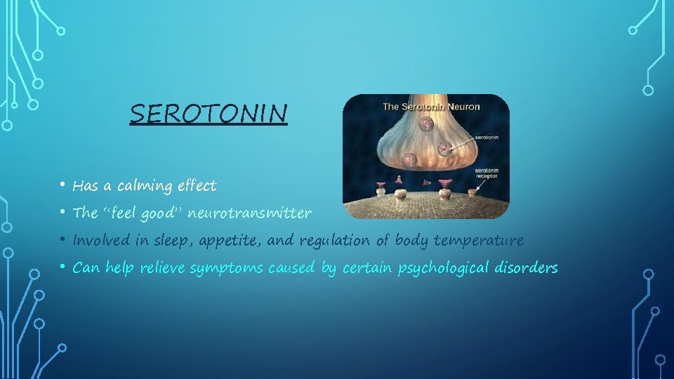 SEROTONIN • Has a calming effect • The “feel good” neurotransmitter • Involved in