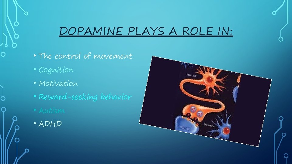 DOPAMINE PLAYS A ROLE IN: • The control of movement • Cognition • Motivation