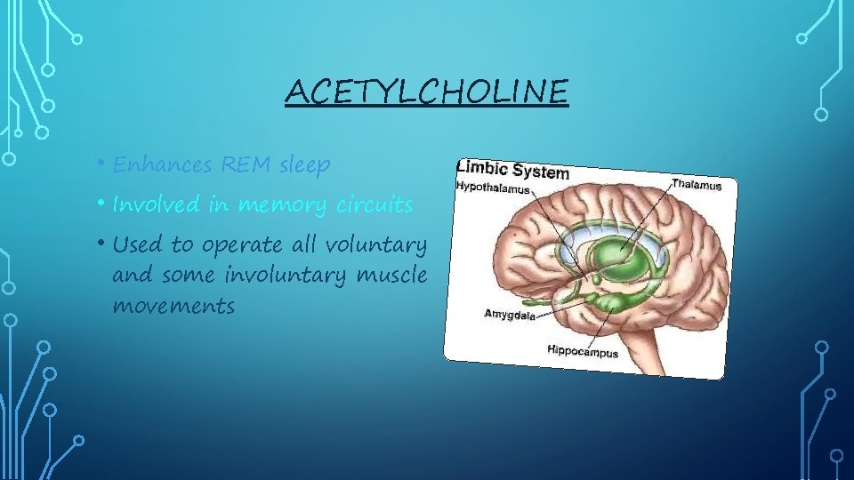 ACETYLCHOLINE • Enhances REM sleep • Involved in memory circuits • Used to operate