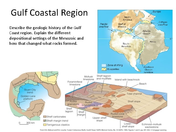 Gulf Coastal Region Describe the geologic history of the Gulf Coast region. Explain the