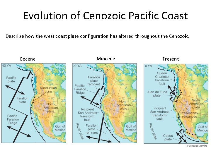 Evolution of Cenozoic Pacific Coast Describe how the west coast plate configuration has altered