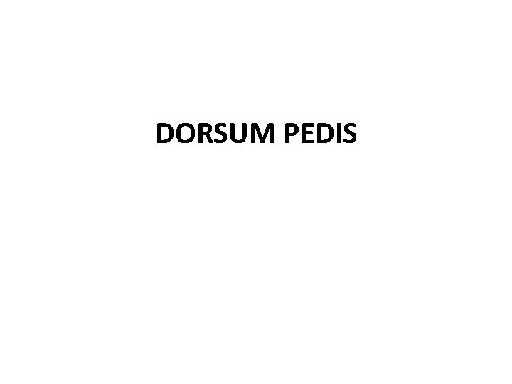 DORSUM PEDIS 