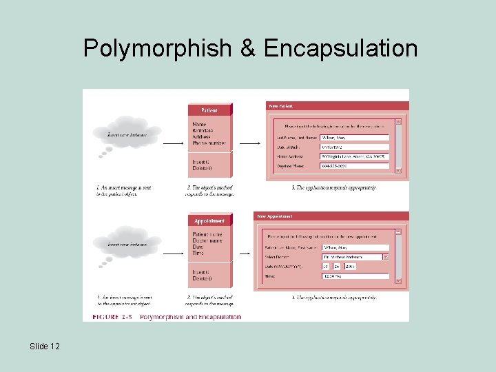 Polymorphish & Encapsulation Slide 12 