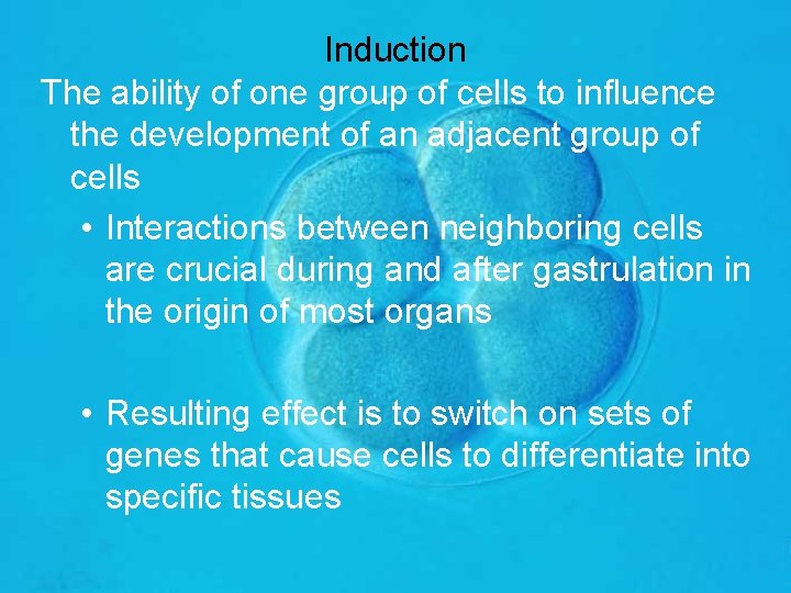 Induction The ability of one group of cells to influence the development of an