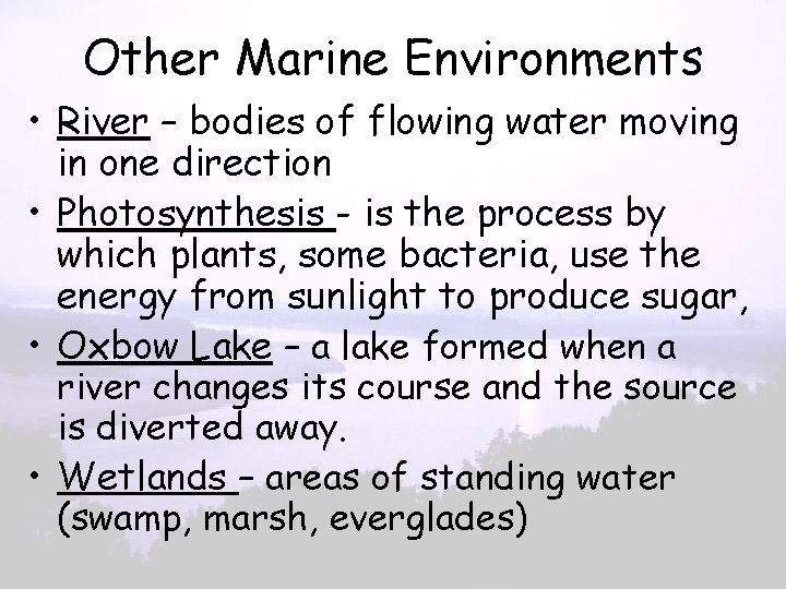Other Marine Environments • River – bodies of flowing water moving in one direction