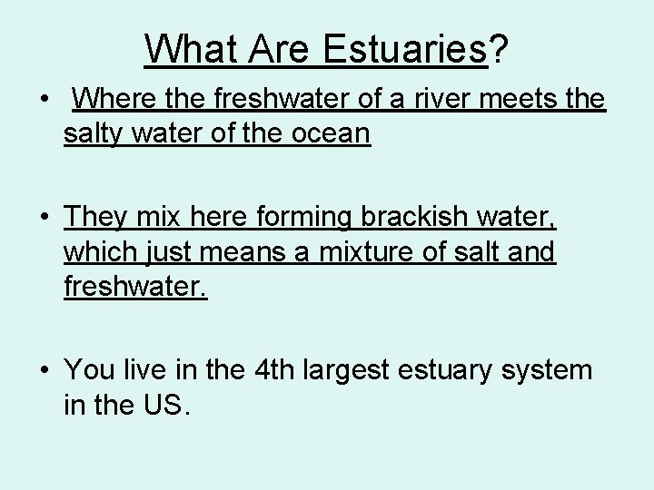 What Are Estuaries? • Where the freshwater of a river meets the salty water