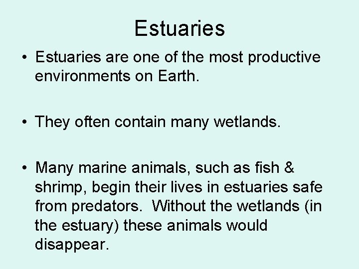 Estuaries • Estuaries are one of the most productive environments on Earth. • They