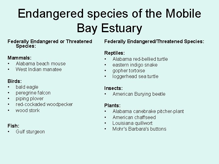 Endangered species of the Mobile Bay Estuary Federally Endangered or Threatened Species: Federally Endangered/Threatened