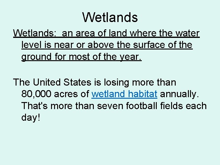 Wetlands: an area of land where the water level is near or above the