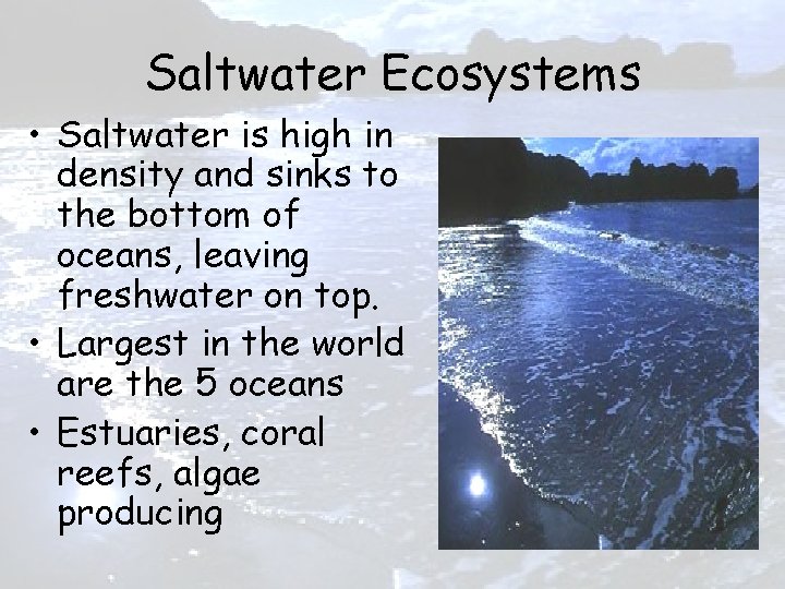 Saltwater Ecosystems • Saltwater is high in density and sinks to the bottom of