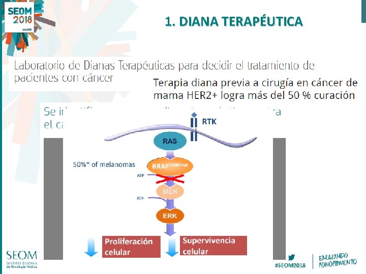 1. DIANA TERAPÉUTICA #SEOM 2018 