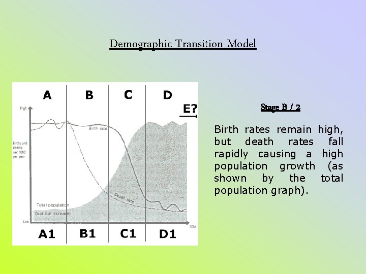 Demographic Transition Model Stage B / 2 Birth rates remain high, but death rates Demographic Transition Model Stage B / 2 Birth rates remain high, but death rates