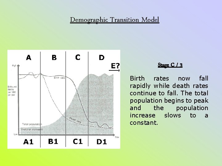 Demographic Transition Model Stage C / 3 Birth rates now fall rapidly while death Demographic Transition Model Stage C / 3 Birth rates now fall rapidly while death