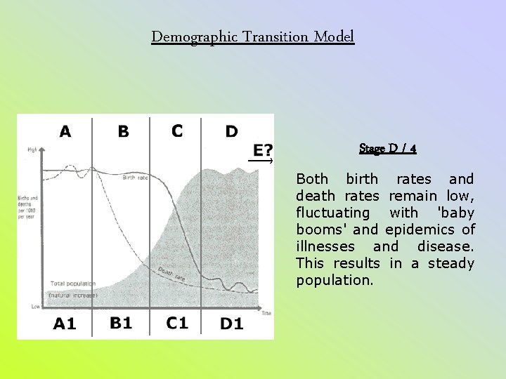Demographic Transition Model Stage D / 4 Both birth rates and death rates remain Demographic Transition Model Stage D / 4 Both birth rates and death rates remain
