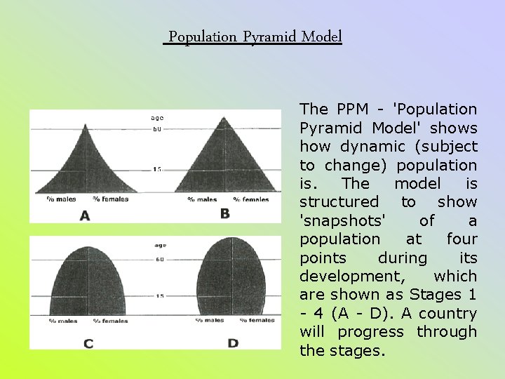 Population Pyramid Model The PPM - 'Population Pyramid Model' shows how dynamic (subject to Population Pyramid Model The PPM - 'Population Pyramid Model' shows how dynamic (subject to