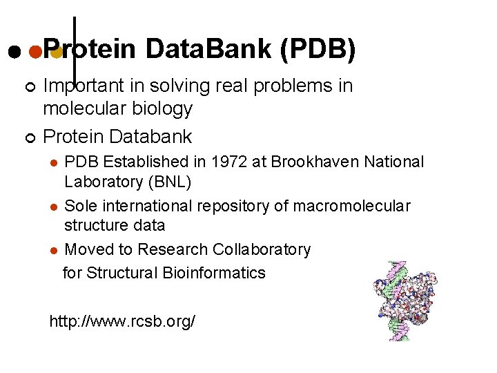Protein Data. Bank (PDB) ¢ ¢ Important in solving real problems in molecular biology Protein Data. Bank (PDB) ¢ ¢ Important in solving real problems in molecular biology