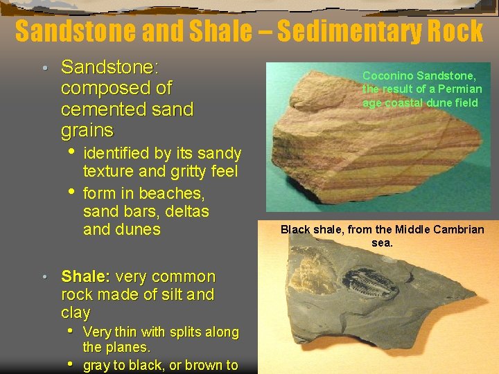 Sandstone and Shale – Sedimentary Rock • Sandstone: composed of cemented sand grains •