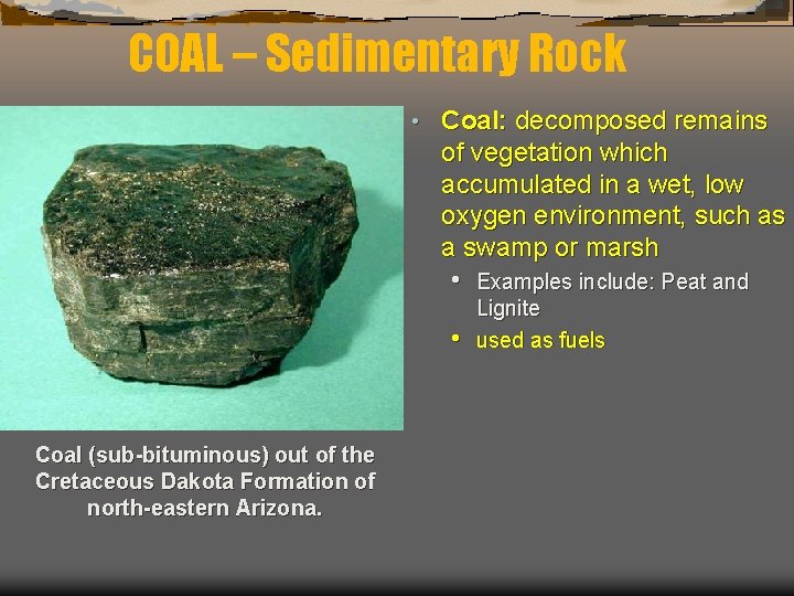COAL – Sedimentary Rock • Coal: decomposed remains of vegetation which accumulated in a