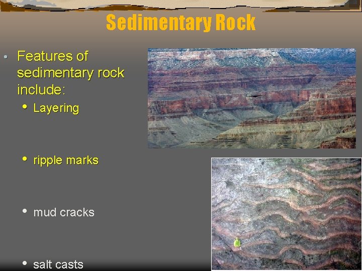 Sedimentary Rock • Features of sedimentary rock include: • Layering • ripple marks •